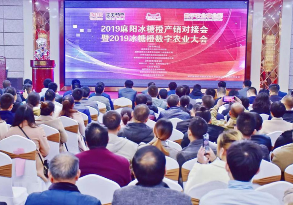 惠農(nóng)網(wǎng)助推麻陽冰糖橙產(chǎn)業(yè)升級(jí) 實(shí)現(xiàn)農(nóng)特產(chǎn)品“三品五化”