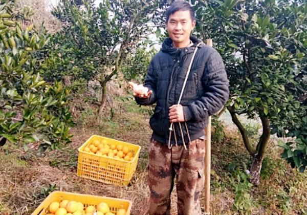 惠農網走進新寧縣 尋訪貧困村里的“追夢人”