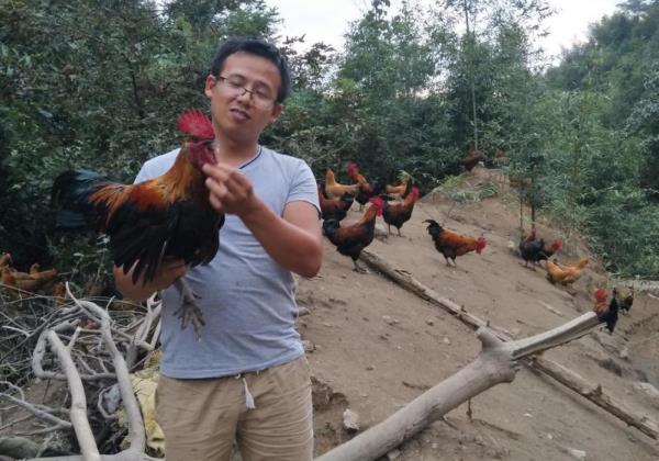 養(yǎng)雞場(chǎng)里的百萬(wàn)商機(jī)：專訪洞口縣80后明星創(chuàng)業(yè)夫妻羅麗芳、劉柏連