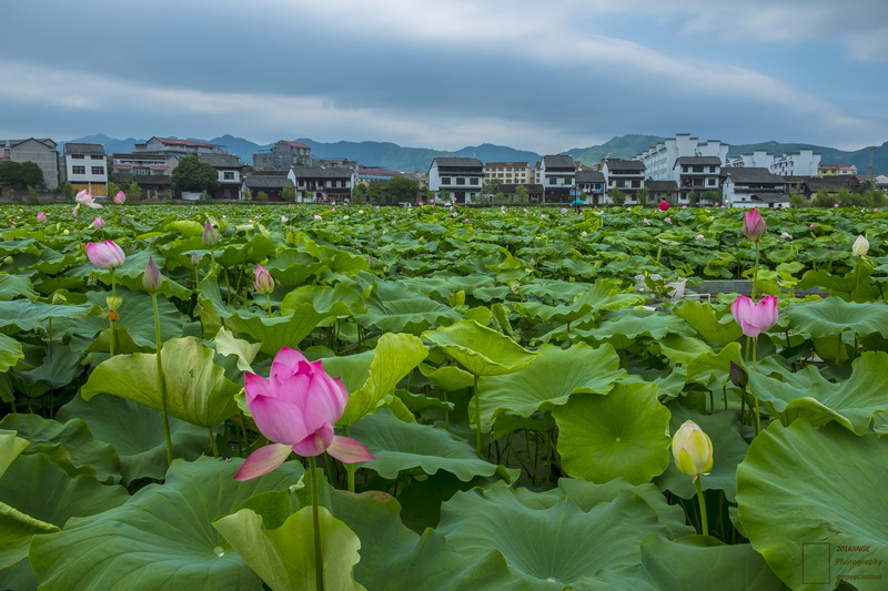 圖片8.png 圖片8.png