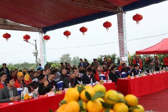 圖片4.png 圖片4.png