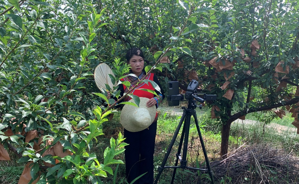 圖片10.png 圖片10.png