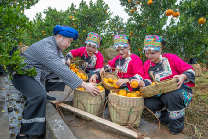 1644656015(1).jpg 1644656015(1).jpg