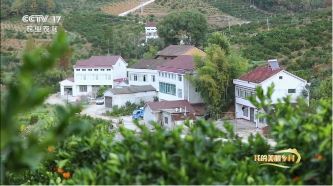 1649404955(1).jpg 1649404955(1).jpg