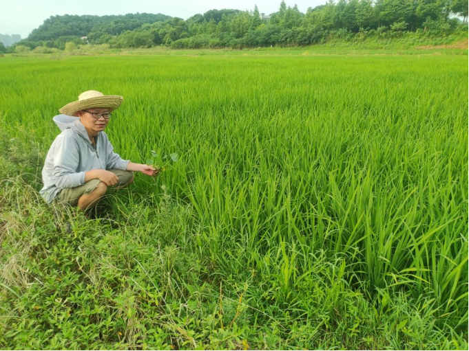 1659341289490.jpg 1659341289490.jpg