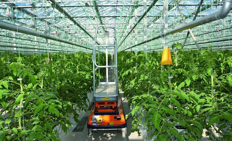 《全國現代設施農業建設規劃（2023—2030年）》發布實施